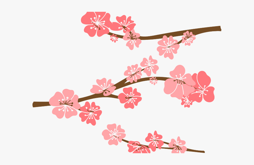 Drawn Cherry Blossom Vector - Draw Cherry Blossom Branch, HD Png Download, Free Download