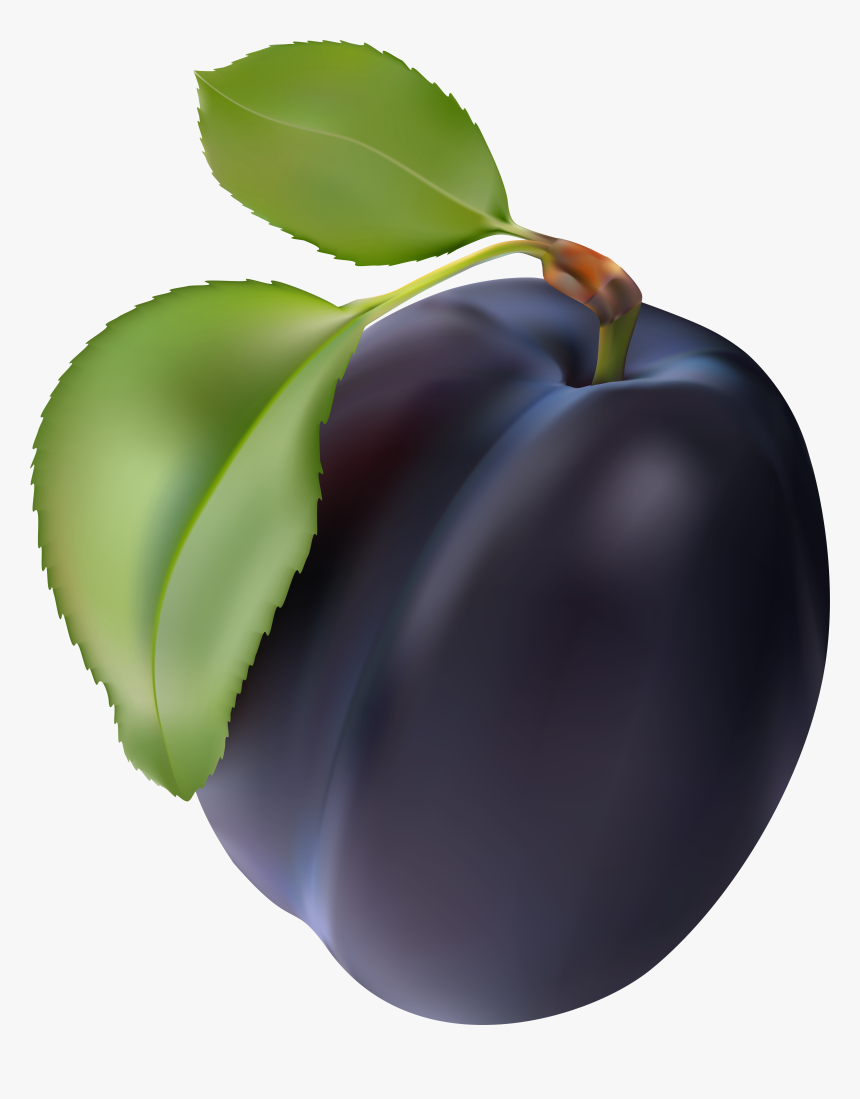 Plum Png Clip Art, Transparent Png, Free Download