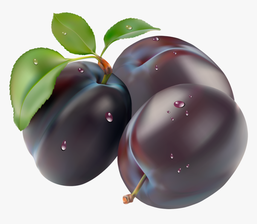 Plum Png Image - Plum Vector Png, Transparent Png, Free Download