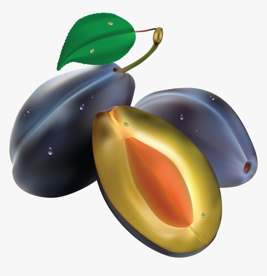 Plum Illustration Png, Transparent Png, Free Download