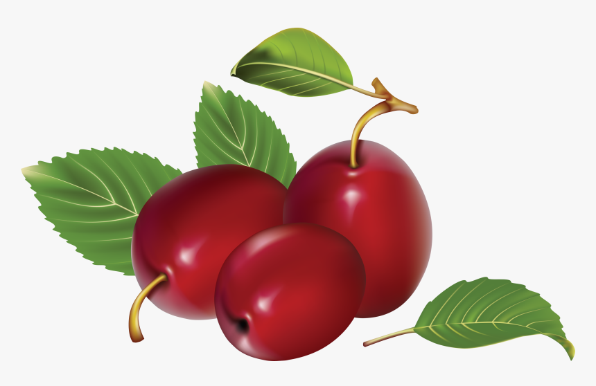 Plum Png Image - Red Plums Clipart, Transparent Png, Free Download