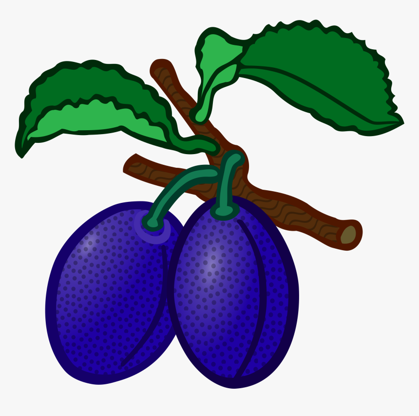 Plum Transparent Image - Plums Clipart, HD Png Download, Free Download