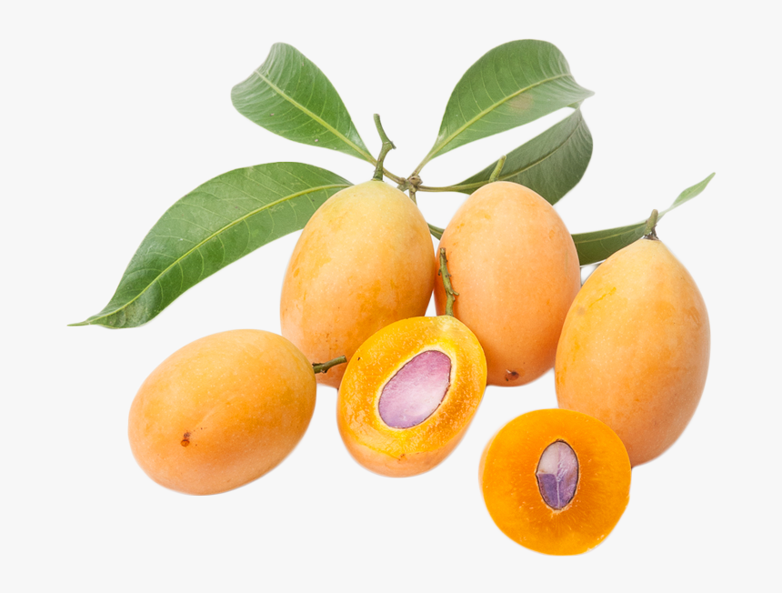 Marian Fruit Png, Transparent Png, Free Download