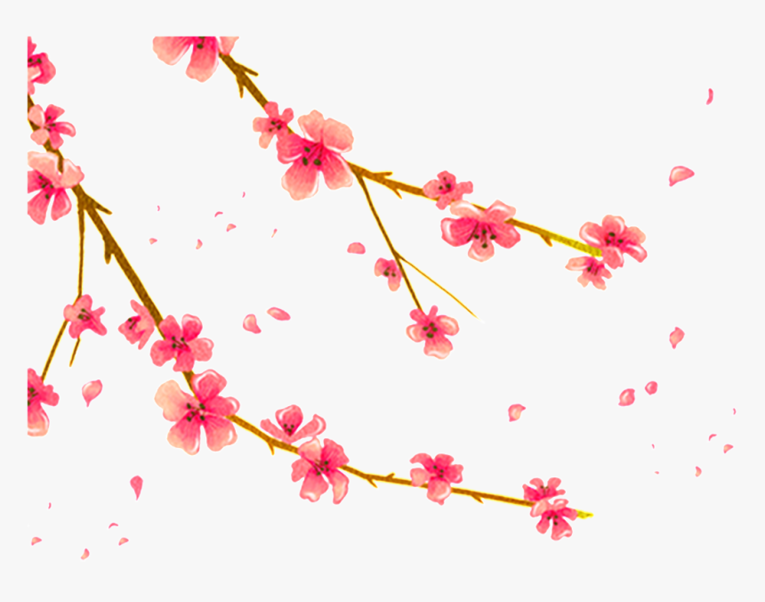 Hand Painted Plum Png - Chinese Flower Png, Transparent Png, Free Download