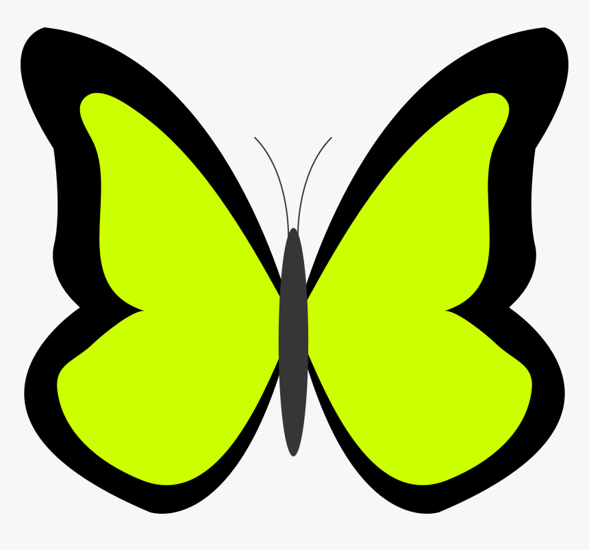 Green Panda Free Images Limeclipart - Green Butterfly Clipart, HD Png Download, Free Download