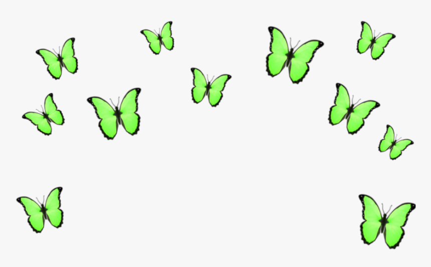 #green #butterflies #crowns #crown #aesthetic #tumblr - Blue Butterfly Emoji Background, HD Png Download, Free Download