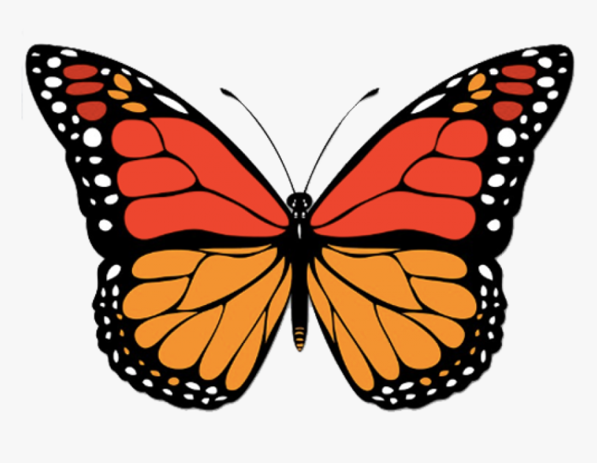 Butterfly Sticker, HD Png Download, Free Download