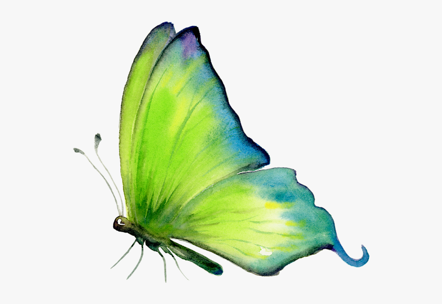 Green Butterfly Art, HD Png Download, Free Download