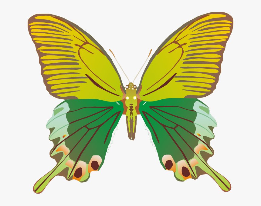 Butterfly Png Images Png, Transparent Png, Free Download