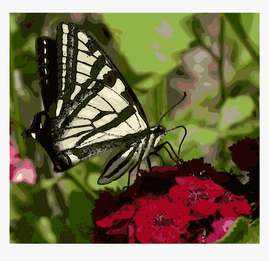 Western Tiger Swallowtail Butterfly Clip Arts - Western Tiger Swallowtail, HD Png Download, Free Download