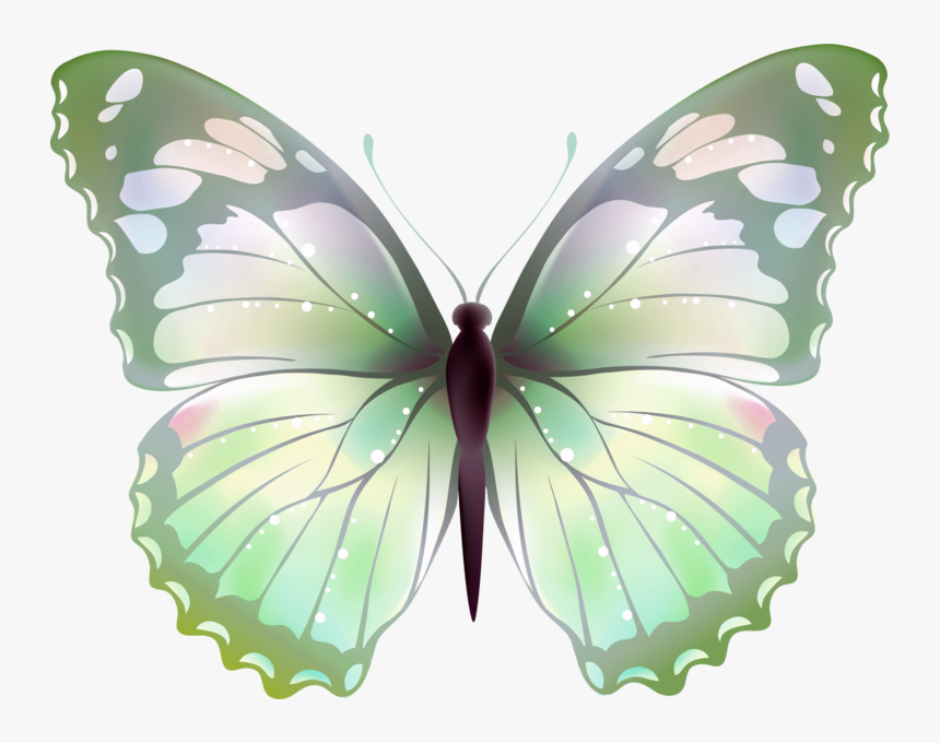 Butterfly Rangoli Design, HD Png Download, Free Download