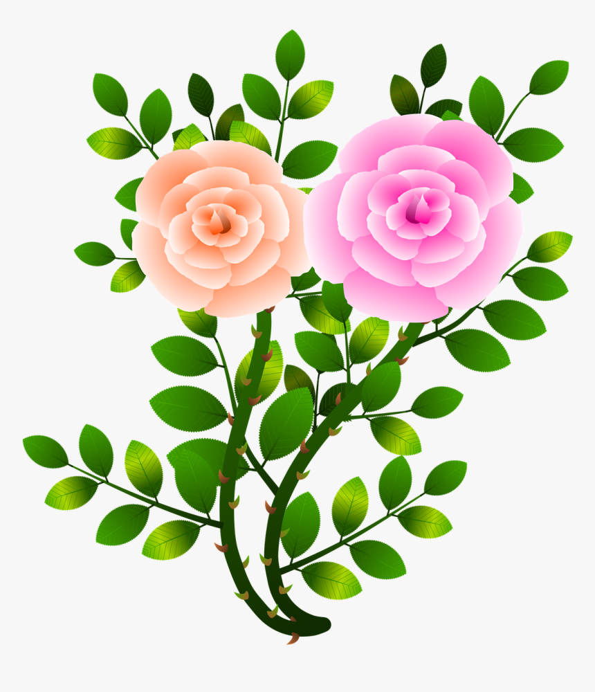 Roses, Flowers, Floral, Flowery, Branch, Plants, Garden - Flowery, HD Png Download, Free Download