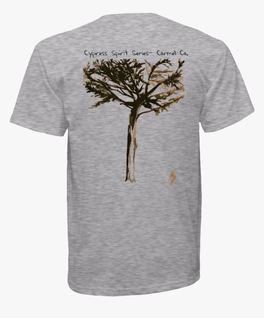 Transparent Cypress Tree Png - Adansonia, Png Download, Free Download