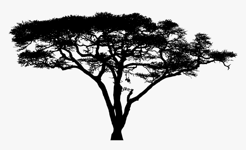 Logo Transparent Cropped Acacia Tree Silhouette Clipart Full Size | Hot ...