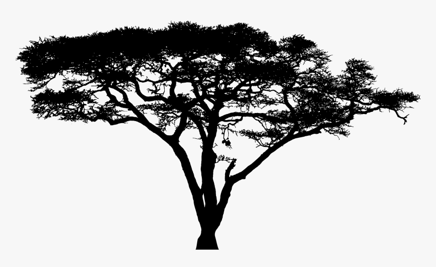 Clipart Silhouette Big Image - Acacia Tree Logo Png, Transparent Png, Free Download