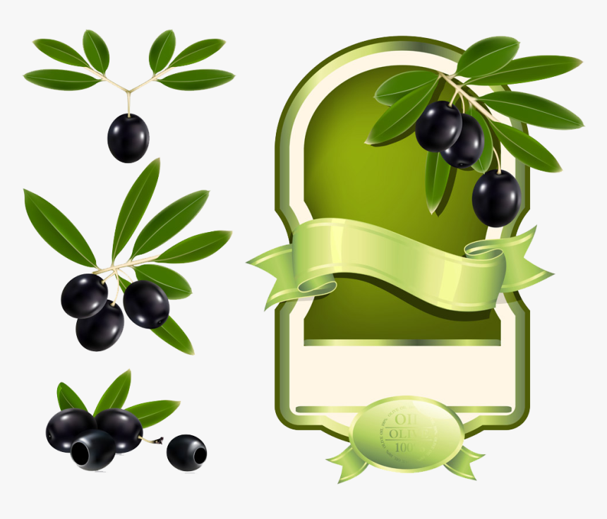 Oil Label Clip Art - Free Olive Oil Label Template, HD Png Download, Free Download