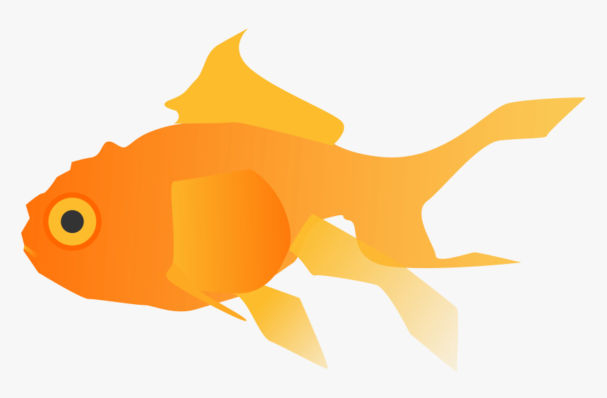 Marine Biology,art,bony Fish - Goldfish Clipart, HD Png Download, Free Download