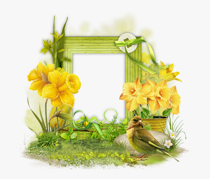 Lente - Flower - Flower, HD Png Download, Free Download