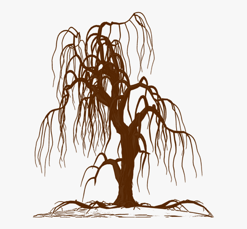 Wall Decal Weeping Willow Tree Drawing Silhouette - Man On Cliff Edge, HD Png Download, Free Download