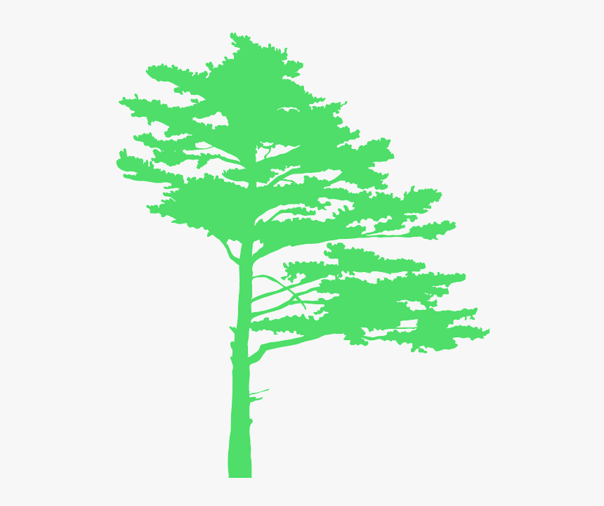 Vind Pine Tree Silhouette, HD Png Download, Free Download