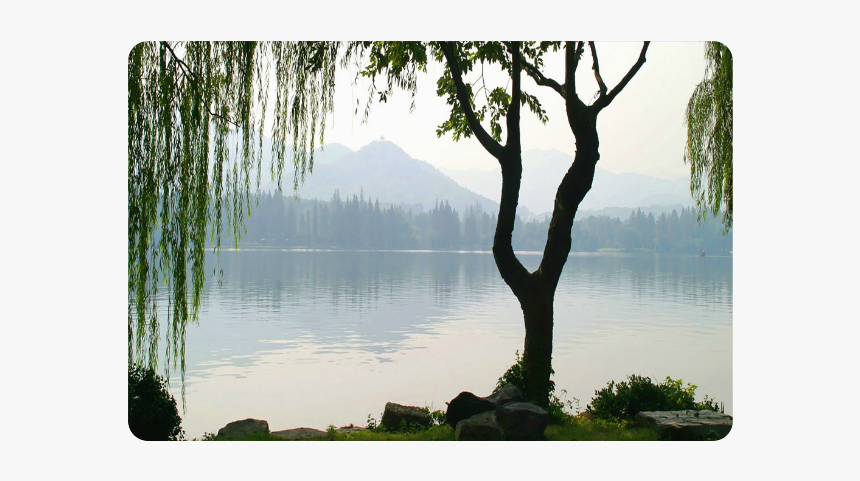 Weeping Willow Mountian View Doormat - Picture Frame, HD Png Download, Free Download