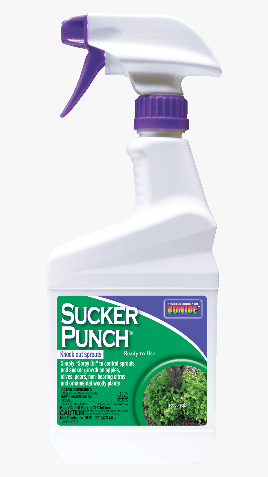 Transparent Sucker Png - Bottle, Png Download, Free Download