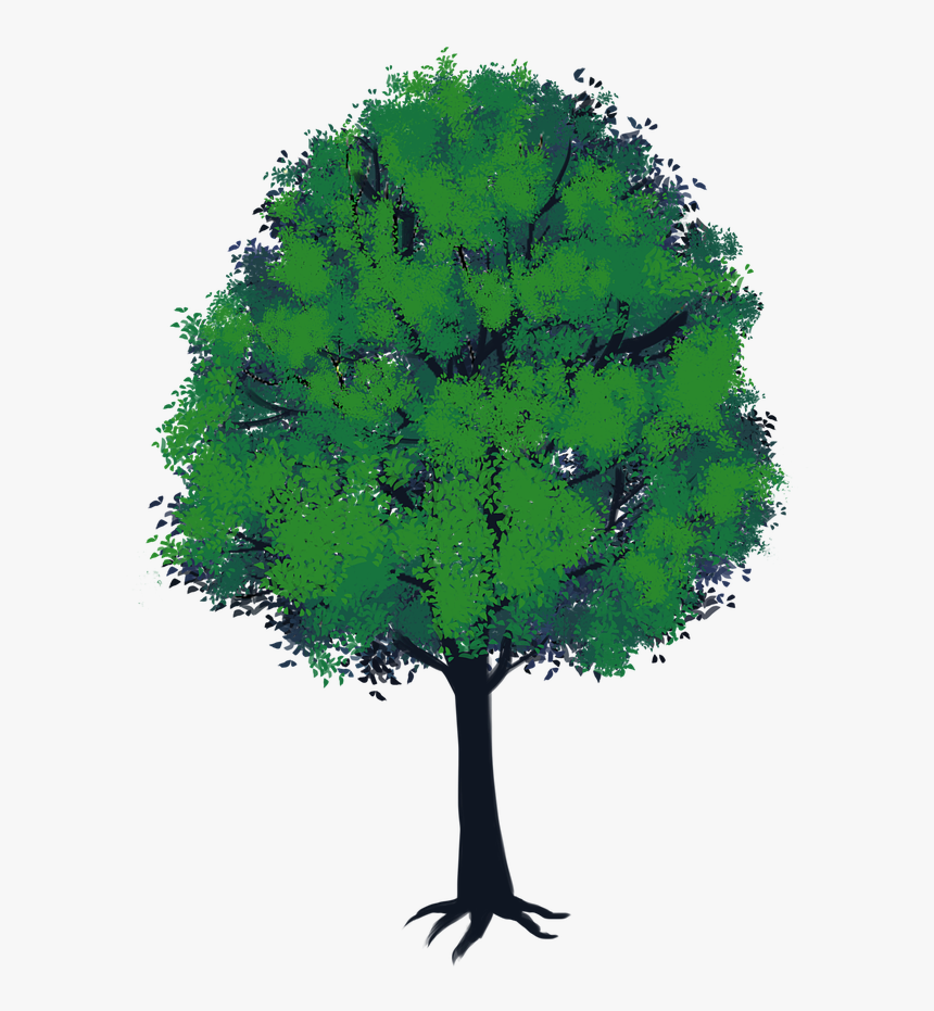 Arbol Animado, HD Png Download, Free Download