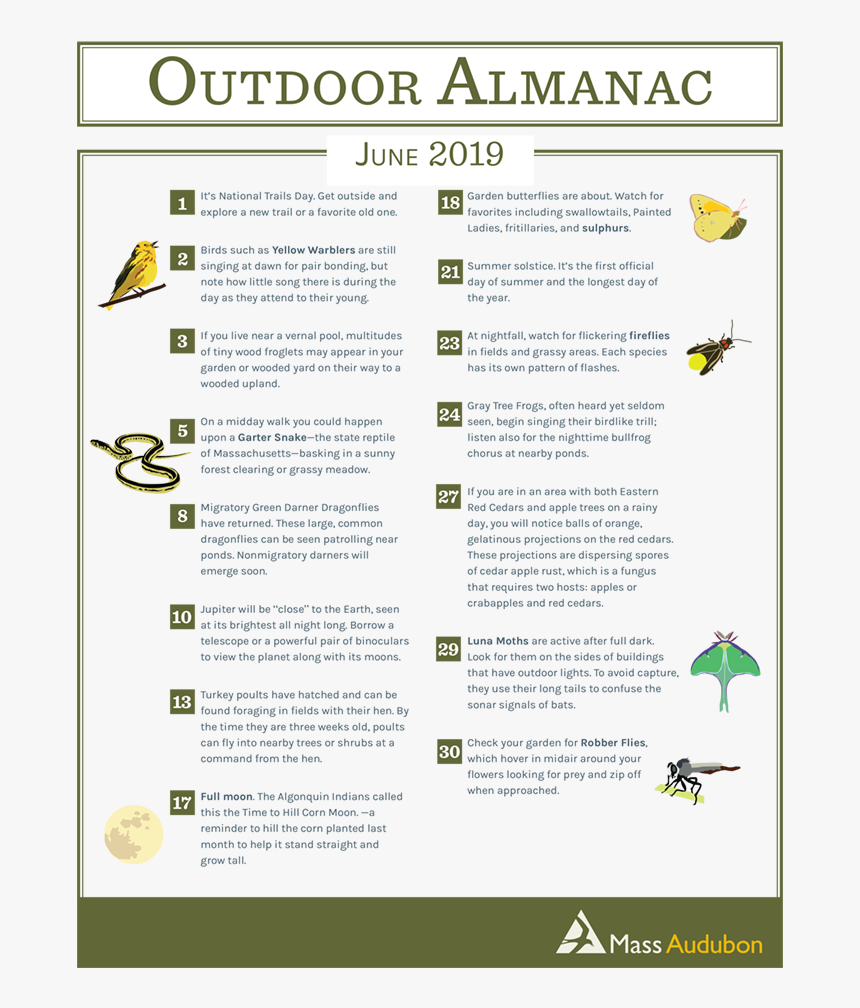 Outdoor Almanac - Spring 2019 - June - Evening. Death And The Old Woman, HD Png Download, Free Download