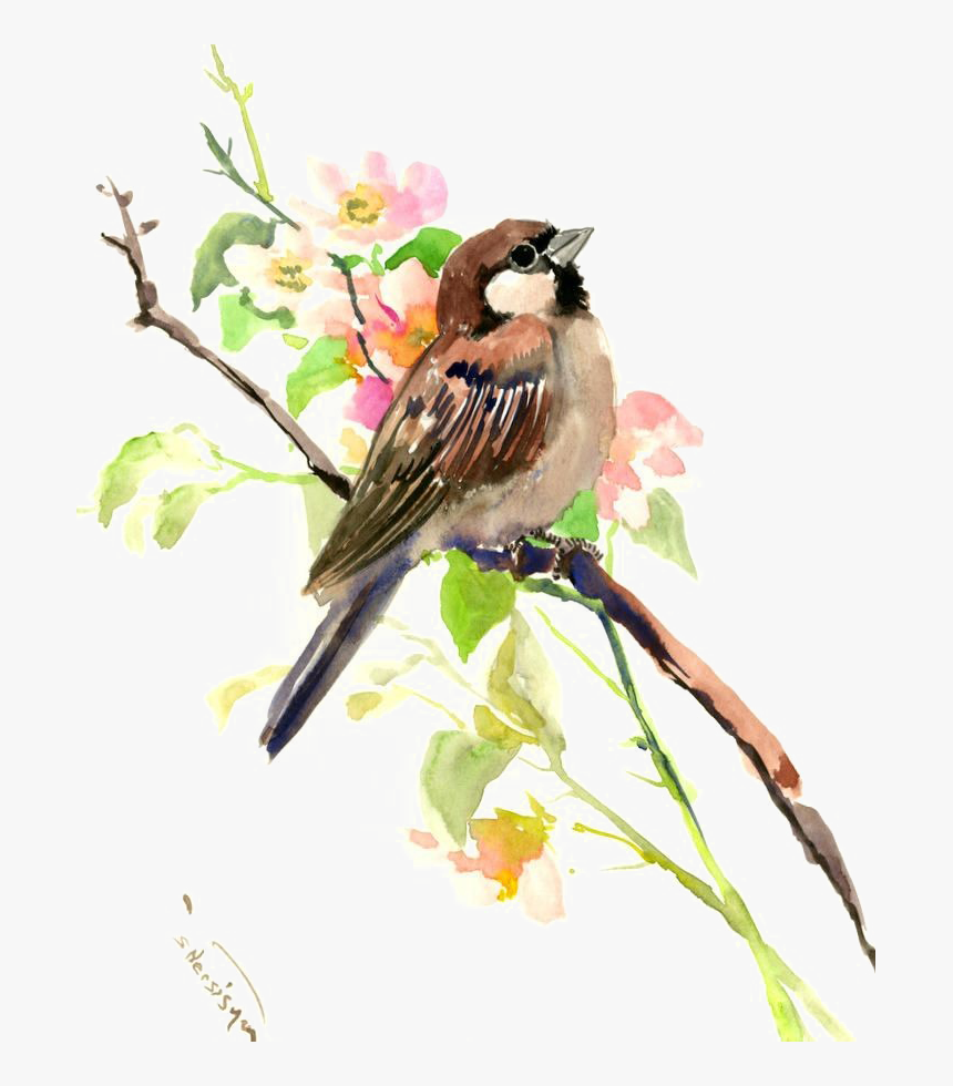 Sparrow Transparent Image - Watercolor Sparrow Painting, HD Png Download, Free Download