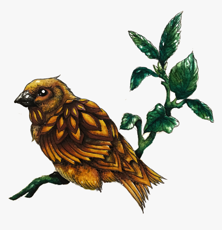 Sparrow , Png Download - Illustration, Transparent Png, Free Download