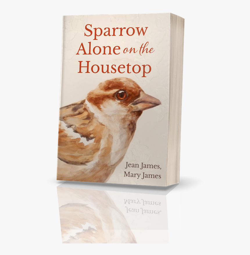 Field Sparrow, HD Png Download, Free Download