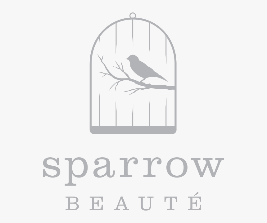 Sparrow - Marrow, HD Png Download, Free Download