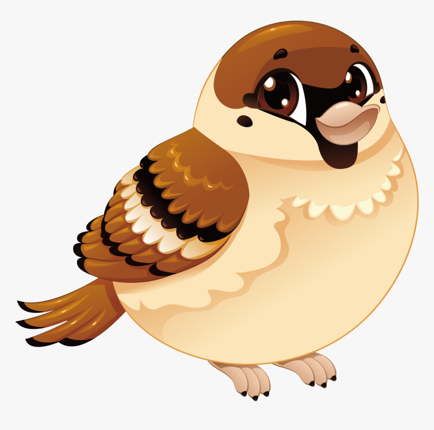 House Sparrow Bird Cartoon - Sparrow Vector, HD Png Download, Free Download