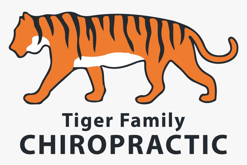 Chiropractor In Columbia, Mo - Tiger Clip Art Side, HD Png Download, Free Download