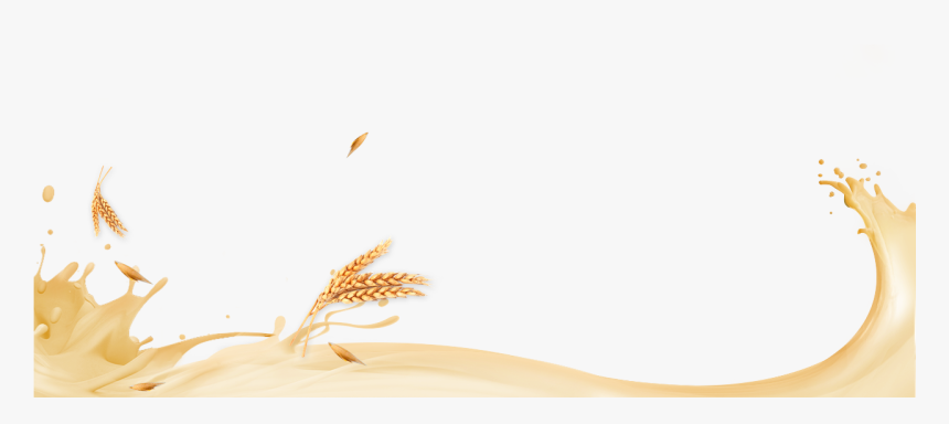 Close-up, HD Png Download, Free Download