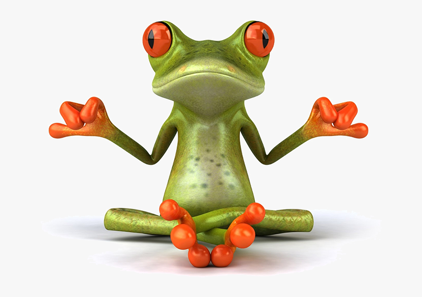 Zen Frog, HD Png Download, Free Download