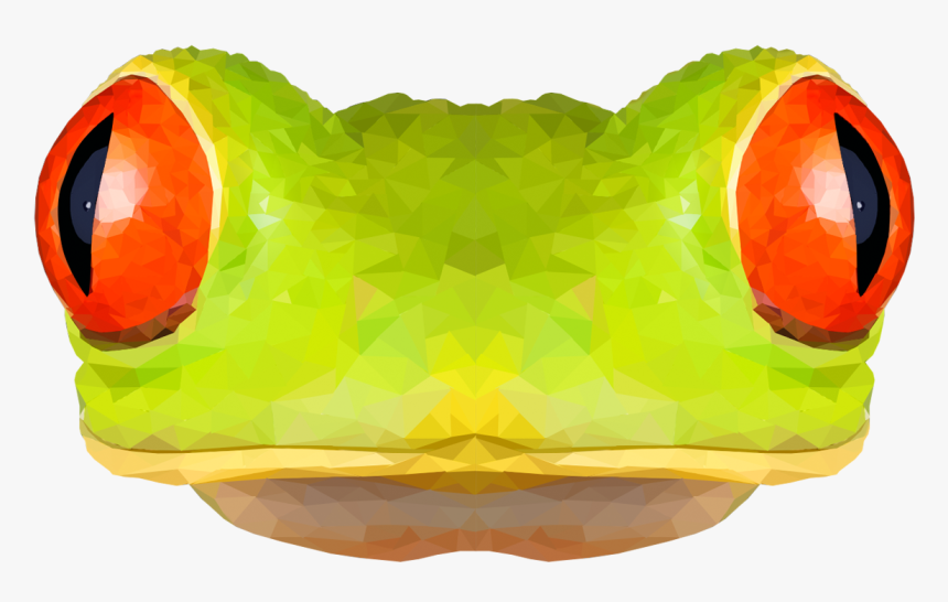 Red-eyed Tree Frog, HD Png Download, Free Download