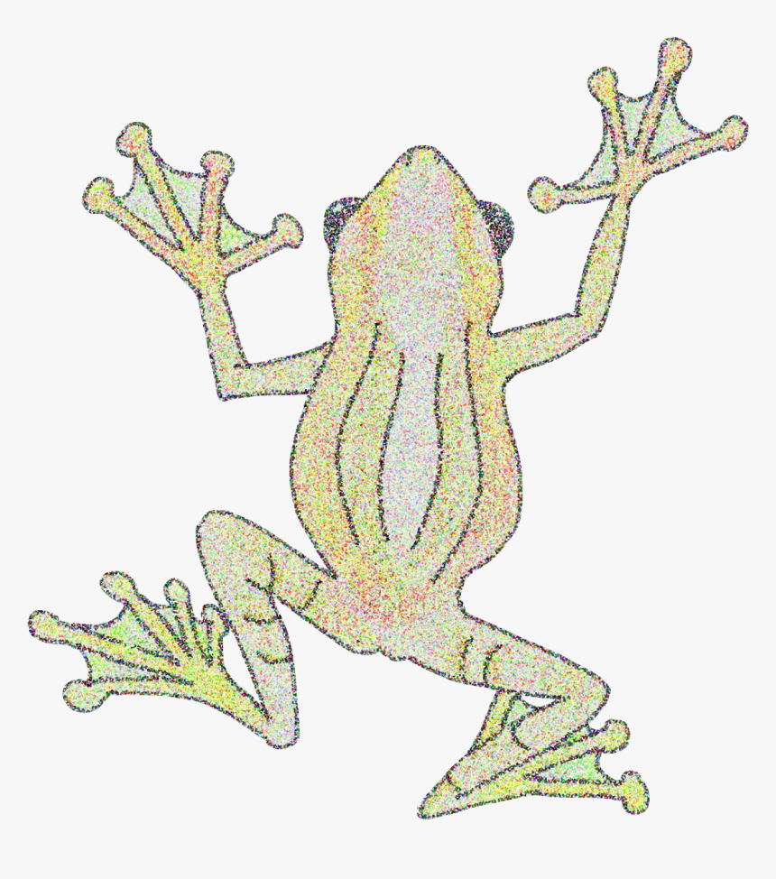 Bufo, HD Png Download, Free Download