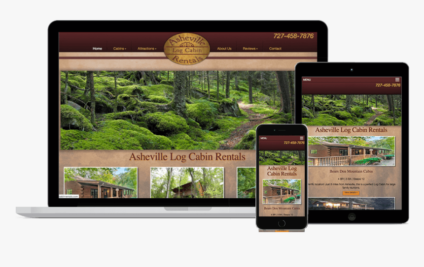 Asheville Log Cabin Rentals - Moss, HD Png Download, Free Download