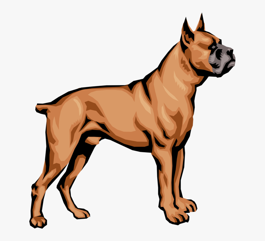 Vector Illustration Of Family Pet Brindle Boxer Dog - Boxer Dog Cool Art Transparent, HD Png Download, Free Download