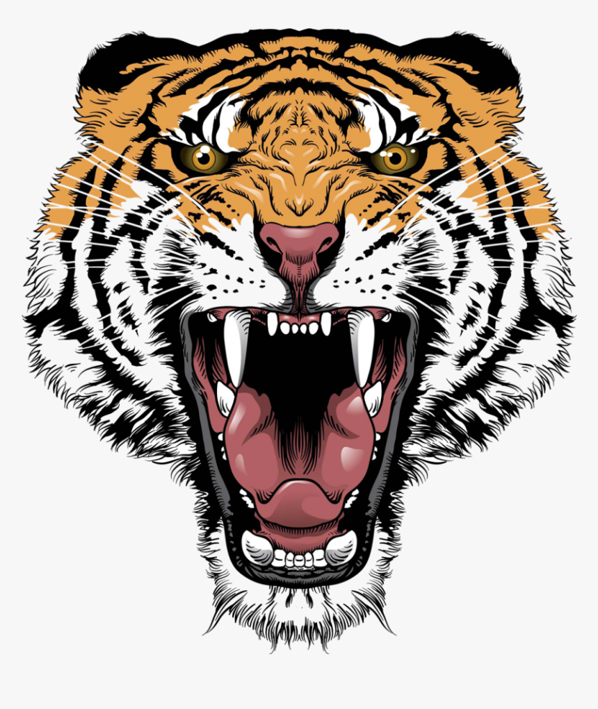 Download Tiger Face Transparent Png 406 - Tiger Face Png, Png Download, Free Download