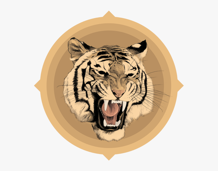 Siberian Tiger, HD Png Download, Free Download