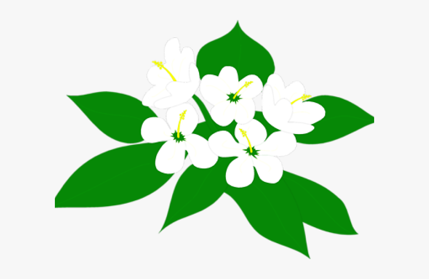 Plants Clipart Sampaguita - Clipart Sampaguita, HD Png Download, Free Download