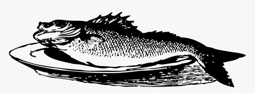 Fried Fish Black And White, HD Png Download, Free Download