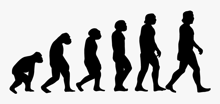 Evolution Silhouette, HD Png Download, Free Download