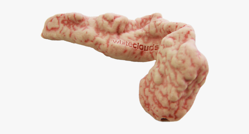 3d Print Pancreas Model, HD Png Download, Free Download