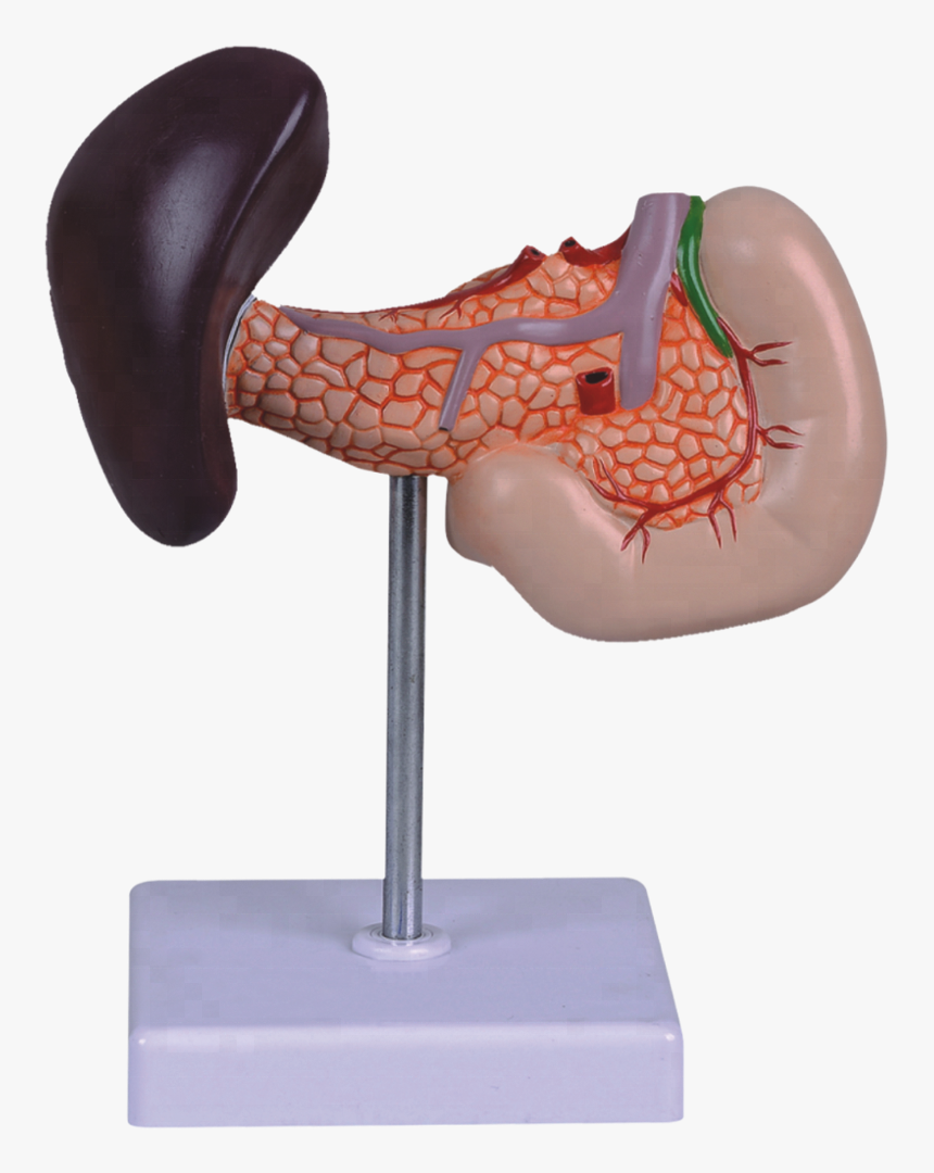 Kick, HD Png Download, Free Download