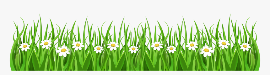 Grass Border Transparent Download - Strip Of Grass Clipart, HD Png Download, Free Download