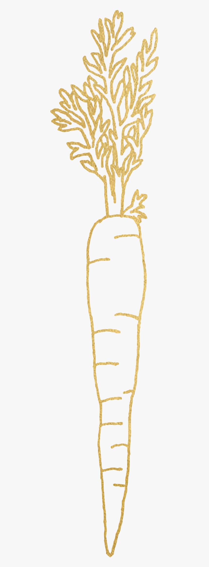 Carrot, HD Png Download, Free Download