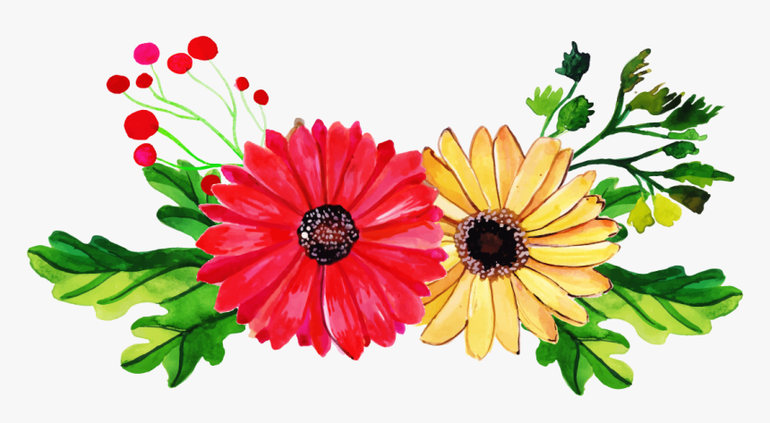 Barberton Daisy, HD Png Download, Free Download